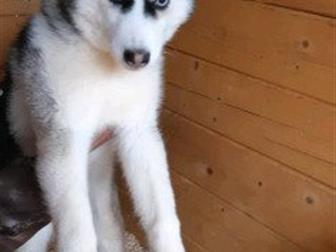 ������ ������ ��������� �����, ������������, ���� �������� 01, 12, 2018 �,  �����-������ � ����-������ ������, ����� �������, ��� �� ���� ����� � ������������� �������, � ������������