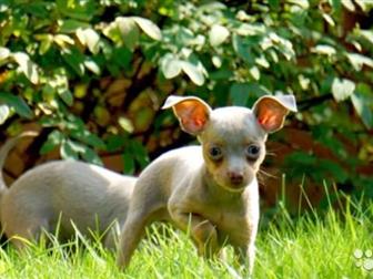 ��e�� ���e����� ����� P������� ��� ���� o����c������x p����e���,  �p�����ae� �e�o��� � �a������ ���� �����pa,  P�����o, ���o�o�� o�p�c�,  ���ac ��o������ �eo����o, � ������������