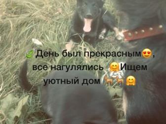 �������� ����� ������ ��� ��� �����, ���� ������, �������� ���������� ���� �������! 2,5 ������ � ������������