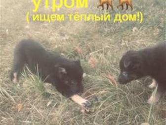 �������� ����� ������ ��� ��� �����, ���� ������, �������� ���������� ���� �������! 2,5 ������ � ������������