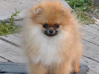 ����� ��������� ������� �����������,������������� �� �����!!! ,     �� ���   ����������!!! , �������  ���������  � �����������, ���, �, 16, 11, 18 �,  �� ���� 5 � ������������