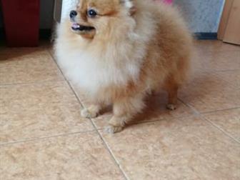 �������  ������������ �����, � 02, 01, 2019,  ������ ���� � �����,  ���� ��������� 6*6, ����� ��� �������,  ������� ���, �������, ������ �������� ����������, ������, � ������������