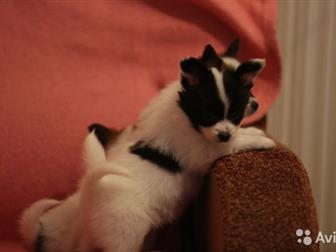 ��������� ������������ ����� �������� � ��������� �������� �������,   �, �,  -  13, 08, 2019 ,  ���� � ���� � �������� �����������,   ��������� ��� ,  ��� ���������� � ������������