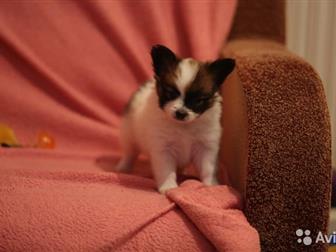 ��������� ������������ ����� �������� � ��������� �������� �������,   �, �,  -  13, 08, 2019 ,  ���� � ���� � �������� �����������,   ��������� ��� ,  ��� ���������� � ������������