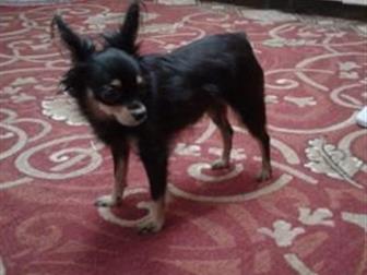 ������ ����������� ����� ���-�������,  ������ ���,  ����� ��������� �����,  �� ������ ���� ����, � ������������