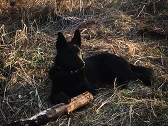 ����� ����� , ���� �������� ����������� ������� ���� ������� ?? ���� �� 2 ���� ,  �������� ���������� ����� ���� �� ������� �� ��� ??? ??? ������� 1 ����� , ������ � ������������