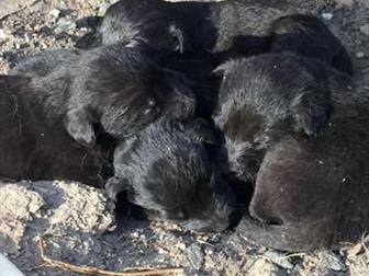 ����� ����� , ���� �������� ����������� ������� ���� ������� ?? ���� �� 2 ���� ,  �������� ���������� ����� ���� �� ������� �� ��� ??? ??? ������� 1 ����� , ������ � ������������