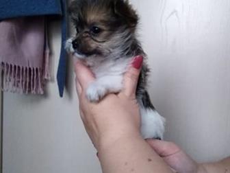 ��� �������������� ��������, �� ��������� ������, ���� ������������ �������� � ������������