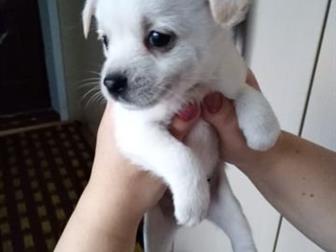 ��� �������������� ��������, �� ��������� ������, ���� ������������ �������� � ������������