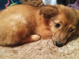 �������� ����� �� ������, ������� ������ 3 ����� �� �������, � ������������