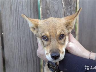 ������ ������ � ���� ����,  �� ��� ������� � ������� ������� ��������� �����,  ����� ����� ����� � ������� �� ������, �� ���� �������� � ���� �� �����,  ��������� � ������������