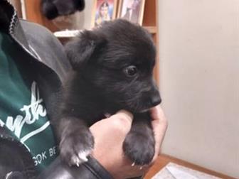 �������-������� �� ���� ���������, ����� ������, ������ ����� � ����� ��������,  ����� ���� ������� �������,  ������ �������� 11, 08, 2019, �������� �������� �� � ������������