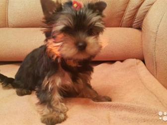 ����� �����,  �������� ��������, � ����������� ���,  �������, , ����� �������, ����������,  ����� ��������, ��������, ���������������, �������� �� ���������������� � ������������