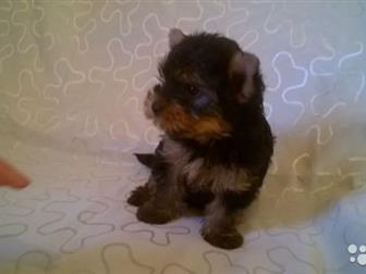 ����� �����,  �������� ��������, � ����������� ���,  �������, , ����� �������, ����������,  ����� ��������, ��������, ���������������, �������� �� ���������������� � ������������