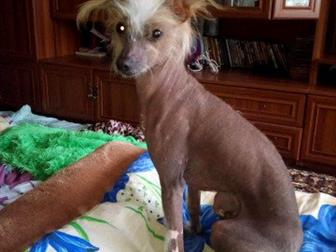 ����� � ������������