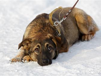 �����������, ������, �������������,  ���� ���������� ������ ��� �������-��������� ����!��������, �������, ��������� � ������� � ��� ��� ����,  ������� 9 �������, � ������������