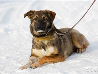 �����������, ������, �������������,  ���� ���������� ������ ��� �������-��������� ����!��������, �������, ��������� � ������� � ��� ��� ����,  ������� 9 �������, � ������������