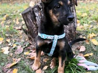 ����� ������ ���� ������� �� �������� �� ����� � ����, ������ ��������� �� ���������� ���� � ������, ������ ����� � �������� ����������� 3, 5������� ��������� �������� � ������������