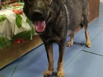 ����� ��� � ������������� ������ ��� ��������� ������,  ����� �����, ���������, ����� �����,  ���� �������� ��������, �� ����� �������� ������� �� �������,  ������ � ������������