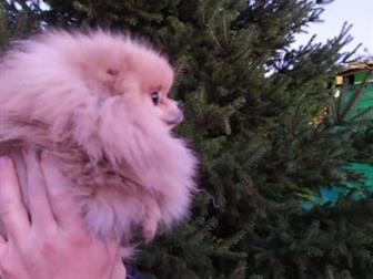 �������� ������� ���� � ���� ����� 3 ����,  ���� ������, �������� � ������������ �������!!!������� ������� ����� ���������, ������ � �������� � ������������� ���� � ������������