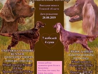 ����� ����������� ������� � ������ ����,  �� ������� �����, ��������� ������ � ���������� (�� ���� ����),  ����������������� ����� ������ ���������� ������ ������, � ������������