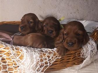 ����� ����������� ������� � ������ ����,  �� ������� �����, ��������� ������ � ���������� (�� ���� ����),  ����������������� ����� ������ ���������� ������ ������, � ������������