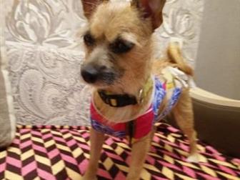 ���� ��� ��� ��������� ������� 4� ���, � ������ ��������,� ������� ����� ���� ����� �������������,������  ����� ����,�����  ������, �������-���������,��������� ��������� � ������������