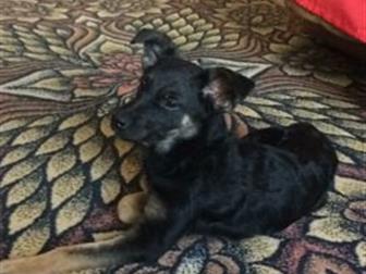 ����� ������ ,������� � ������������ ������� ,�������� ,���� ������� � ������������