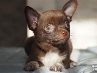 �������� ���������� �/� �������,  ���� �������� 27, 07, 2019,  ����� �� �������� �������,  ��������� � �������� ��������� �������,  �������������� ������� �� ��������, � ������������