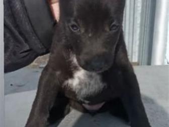 ����� �������� 1,5 ������ � ������ ����!� ��������� ����� �� ��� �������� ������ � ������,  ���� ������ ������ ����� ,����� �������� ���� � ����� ���, � ������������