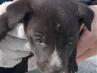 ����� �������� 1,5 ������ � ������ ����!� ��������� ����� �� ��� �������� ������ � ������,  ���� ������ ������ ����� ,����� �������� ���� � ����� ���, � ������������