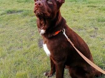 �������,������� 9 �������, �������������,����������,�������� � ������,����� � ������� ��������, ������� � �������� ��� � ��� � ����������� � ����, � ������������