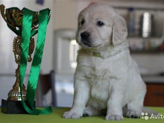 �������� ���������� ������ ����������� ��������� 5 ��������� � 4 �������, � ����������� ��� , ������������ ��������� �  ���������� �� �������� �� ������������ ���������, � ������������