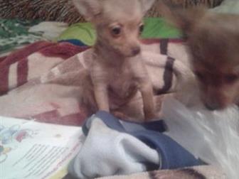 ������ ����� ����������,����� ���������,������ ����,������� ������� ����,,����� �������,�� �������� ���� �� ������� ���� � ������������