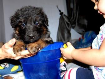 ����� �������� � �������� ������  (����� ����������� ������� � ��� ���� 1 �������������� ����), ���,  18  ������� 2019 ����  � ������ ������� ���������� ��� (������� � ������������