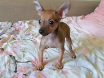 ������ ��������� ����������� �������� � ������� ������ ���� � ����� ���� ����� ��������� �� ������� �������� , �������� , ������������� ���� ����� ������ � ������� � ������������