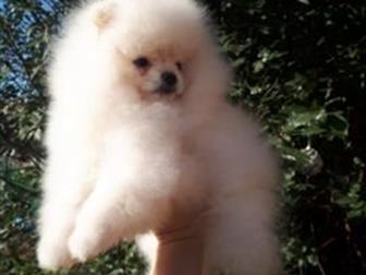 �, �, 12, 07, 2019�, ����������� ������� ���� � ��������� ����,  ������� ������ ������ - ����������, �������� ��������, ���� - �����,  ��������� ���,�������� �� � ������������