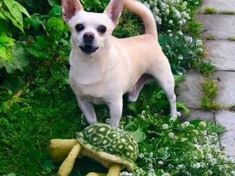 ������������ ����� � ������� ��������,  ����� � ����� ������ �������,  ����������� ���, ������ ����������,  ������������ ����� ����� � ������������