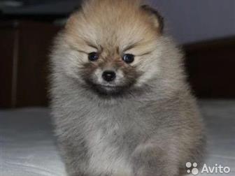 ��������� ����� ������������ �����  �������� ���, ����� ������ �������� ������, ������� �����, ������ �����, ����� 6�6, �������� �� ��������,  ��������� �� �������, � ������������