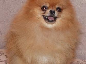 ��������� ����������  ������� 14 ���,  ���� ��������� - 19��,  ��� 2,1,  ����� ����� � �������� �����������,  ������-�������,  ������� ����, �������� ������,  ����������, � ������������