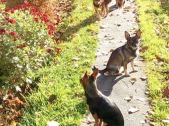 ������ ������ ���- �������, ������ ����� ����� �� �����,  ������������� ��! �� �����, �� �����! ��������, �� �������,  ����� ���� � ��� ������������, �� �� ���������� � ������������