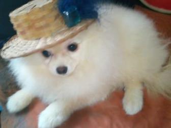 �������� ������� � ����� ����, ���������� ���������, �������� ����, ����� ��������������, ������ ������� ��������� ��������, �������, ������ ��� � ������������