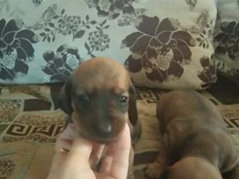 ����� ����� � ������������