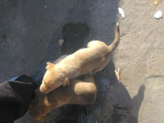 1 ������ ����� , � 3 ����� � ������������