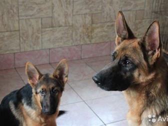 ��� , �����,  ���, �������,  �� 10 �, �, � ������������