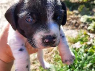 ����� ��������� ��������!4 ��������,2 �������, �������� 16 ��������,���� �����,����-��������)�������,����� ��������,��������� ������, � ������������