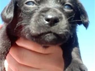 ����� ��������� ��������!4 ��������,2 �������, �������� 16 ��������,���� �����,����-��������)�������,����� ��������,��������� ������, � ������������