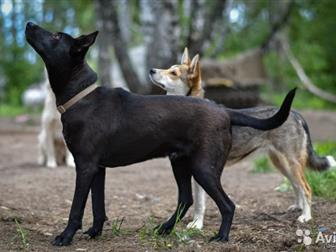 ����� �����, 10 �������, ��������, ������, ��������������, ���������� ����������� � ������ � ������������