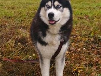 ������������ ��� ����� ������  ��������� �����,  ������� 3����, ��������� ������, �����������, ������, � ������������