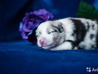 ������������� ������� ��� ��������� ���� ����� �������� �������� ��� �� ������ ��� ���������� �������� �������� ������ �����: ������ ����� ����������, ������������������� � ������������